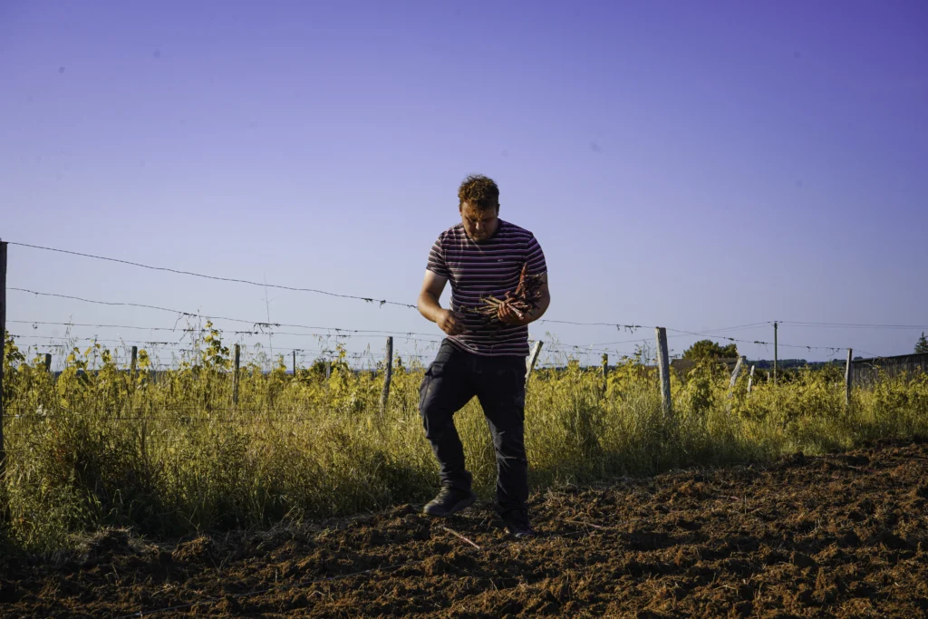 Léo Varanne vignes Chinon